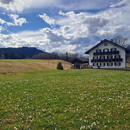Bauernhaus Jocher كرن المظهر الخارجي الصورة